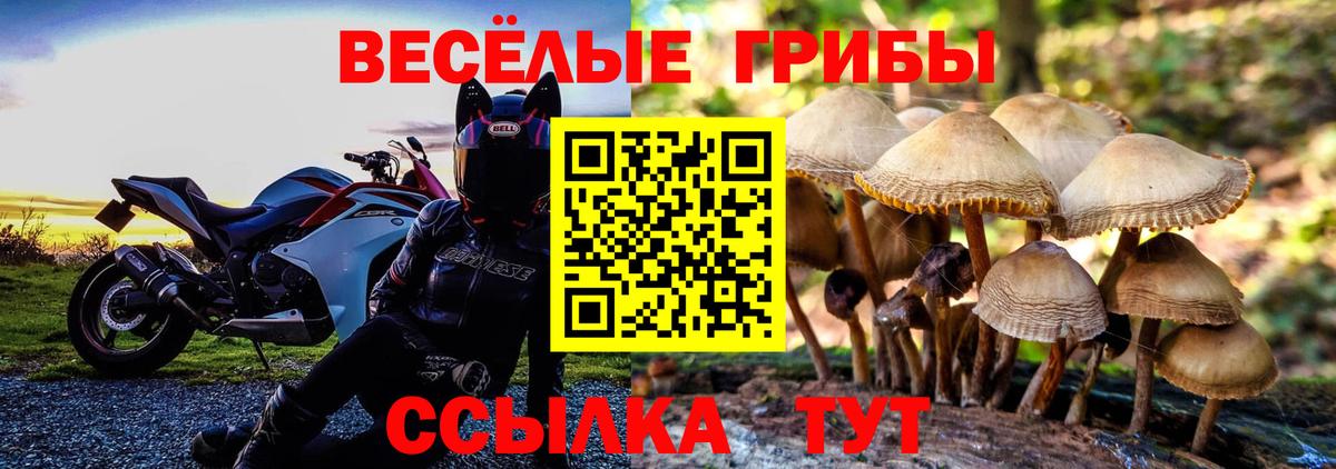 Галлюциногенные грибы ЛСД Обь
