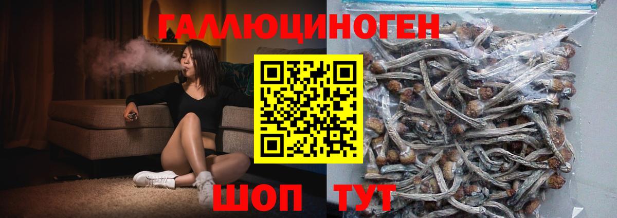 Псилоцибиновые грибы прущие грибы  Вход с VPN  Обь 